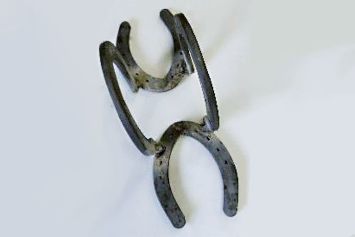 horseshoes