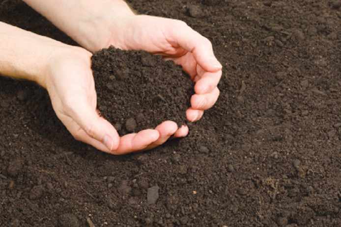 Gardening Pots and Potting Soil