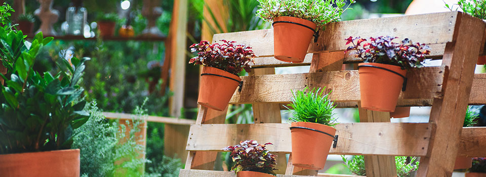 Flowers pots on pallet